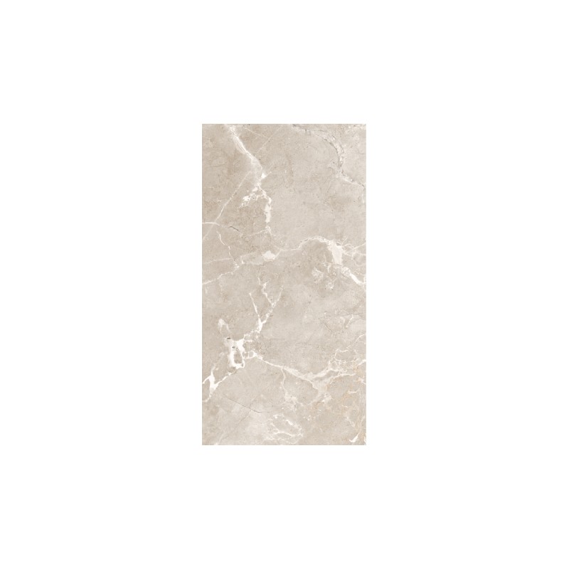 Carrelage Tokyo coloris taupe poli 60x120 cm
