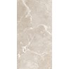 Carrelage Tokyo coloris taupe poli 60x120 cm