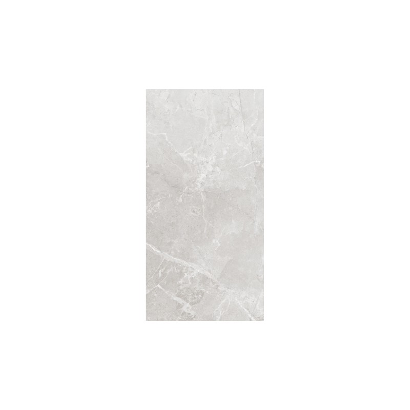 Carrelage Tokyo coloris gris poli 60x120 cm