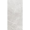 Carrelage Tokyo coloris gris poli 60x120 cm