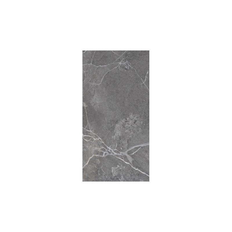 Carrelage Tokyo coloris frêne poli 60x120 cm