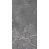 Carrelage Tokyo coloris frêne poli 60x120 cm