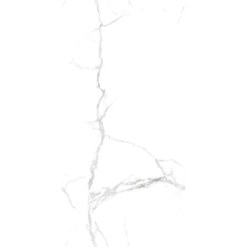 Carrelage Statuario coloris blanc poli 60x120 cm