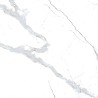 Carrelage Statuario coloris blanc poli 80x80 cm