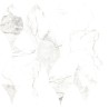 Mailles décoratives Abbey Esedre coloris blanc mat 27,9x29,5 cm
