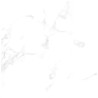 Mailles décoratives Mikonos Pearl écailles coloris blanc poli 29x30 cm