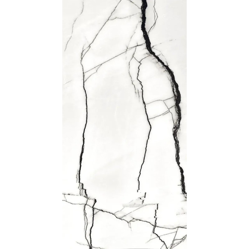 Carrelage Marquina Blanco coloris blanc poli 60x120 cm