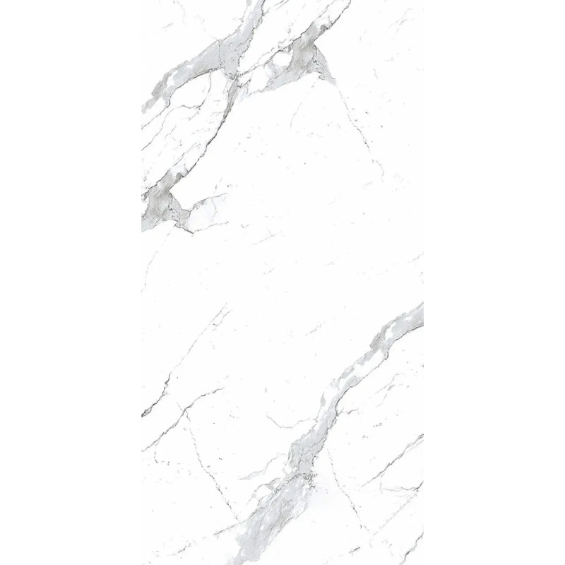 Carrelage Cies coloris blanc poli 60x120 cm