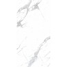 Carrelage Cies coloris blanc poli 60x120 cm
