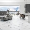 Carrelage Cies coloris blanc poli 60x120 cm