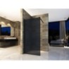 Aloni Paroi de douche en verre fumé 800x2000mm