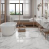 Carrelage Atenas coloris blanc mat 60x120 cm