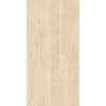 Carrelage Coliseo coloris beige mat 80x160 cm