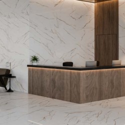Carrelage Excentric coloris blanc poli 120x280 cm