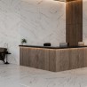 Carrelage Excentric coloris blanc poli 120x280 cm
