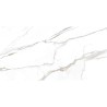 Carrelage Excentric coloris blanc poli 60x120 cm