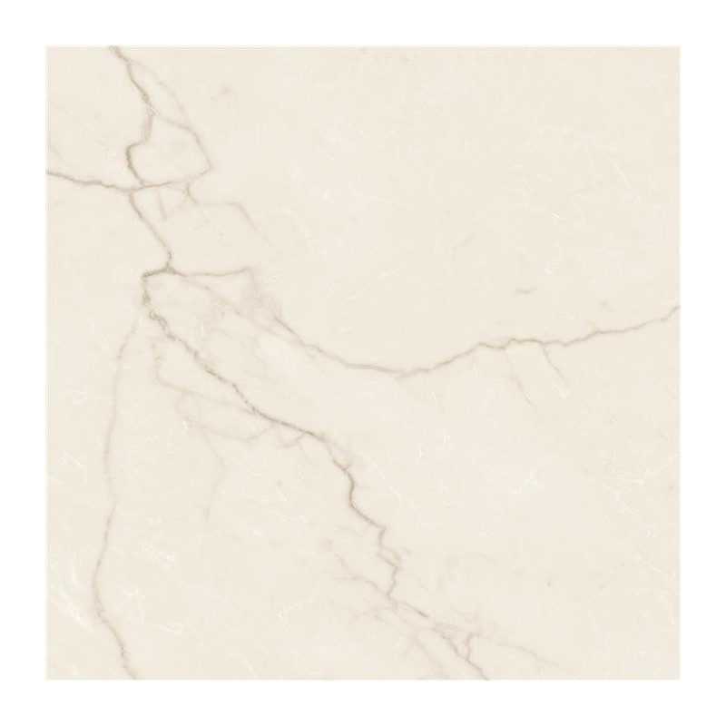 Carrelage Avorio coloris crème mat 60x60 cm