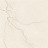 Carrelage Avorio coloris crème mat 60x60 cm