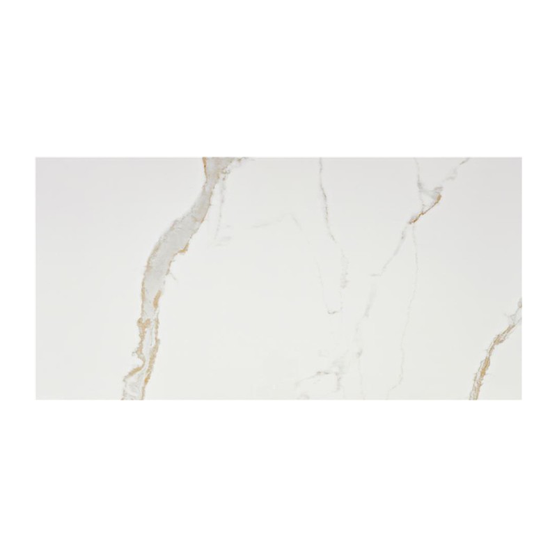 Carrelage Leonardo coloris blanc poli 60x120 cm