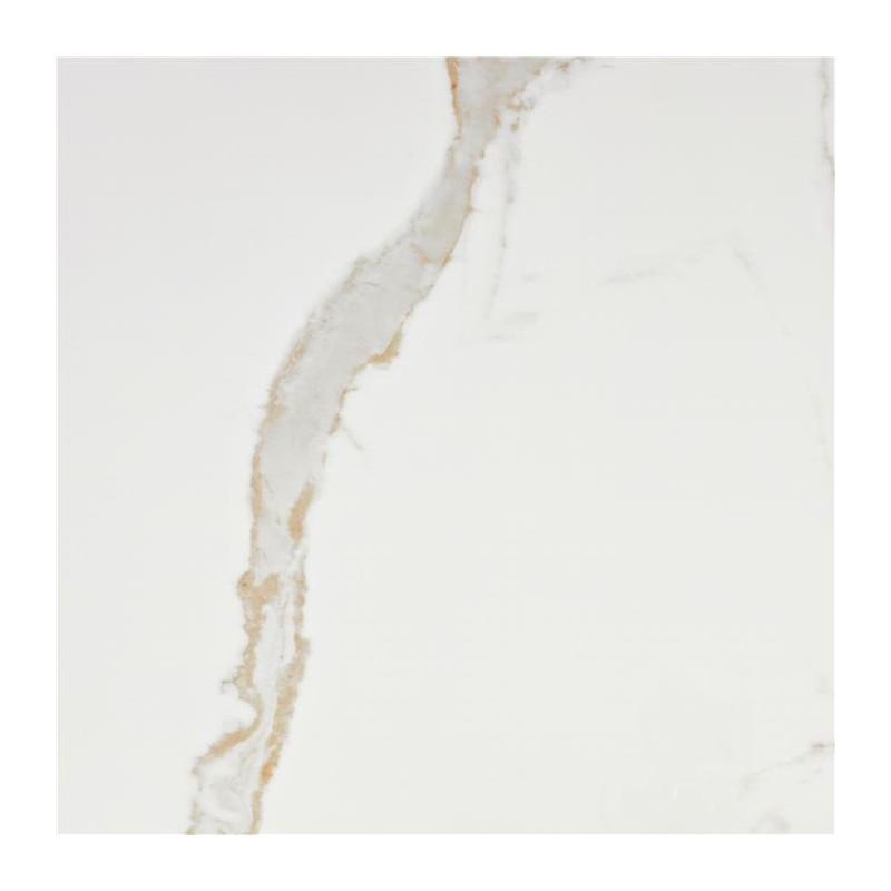 Carrelage Leonardo coloris blanc poli 120x120 cm