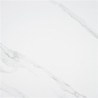 Carrelage Craon coloris blanc satin 60x60 cm