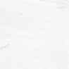 Carrelage Le Blanc coloris blanc satin 60x60 cm