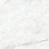 Carrelage Gemstone coloris blanc mat 100x100 cm