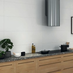 Carrelage Radiant coloris blanc brillant 30x60 cm