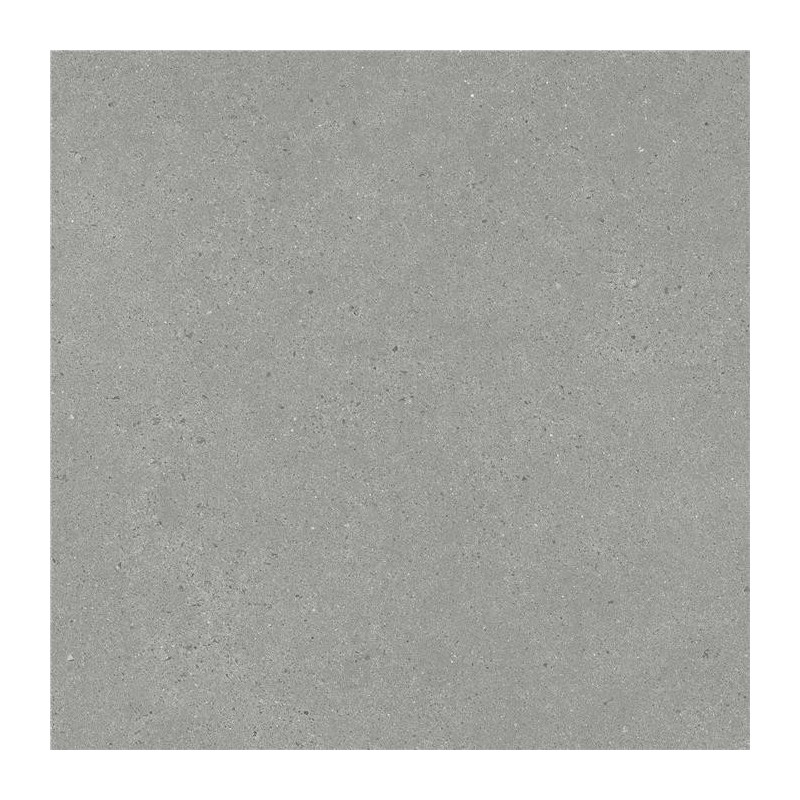 Carrelage Eren mat 60x60 cm