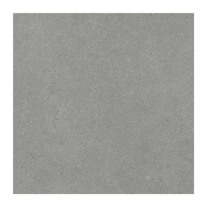 Carrelage Eren mat 80x80 cm