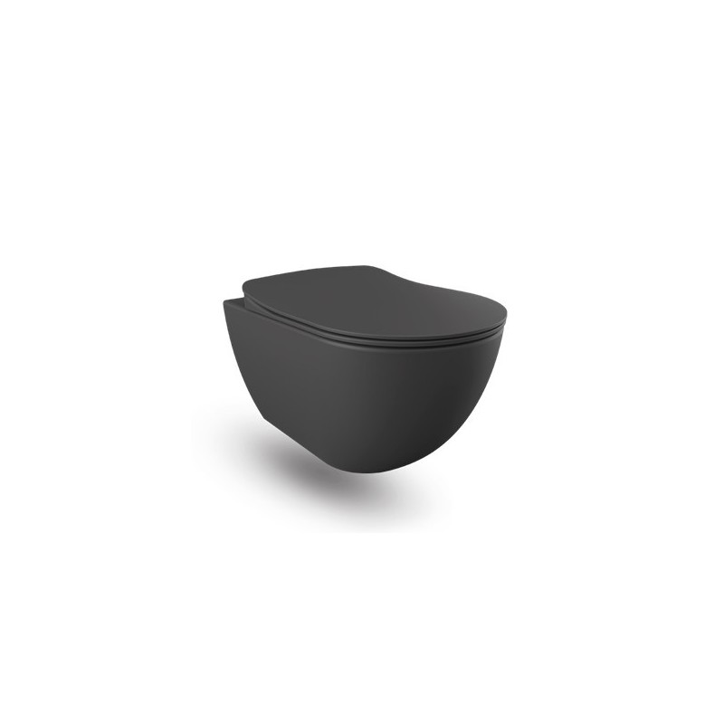 Creavit WC suspendu RIMOFF avec hygiène inox (bidet) coloris anthracite mat