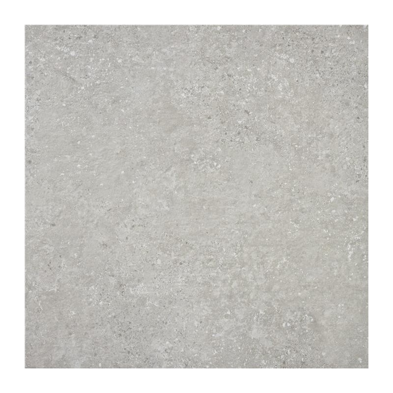Carrelage Ridefort mat 60x60 cm