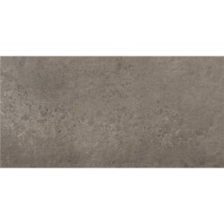 Carrelage Zeed mat 30x60 cm