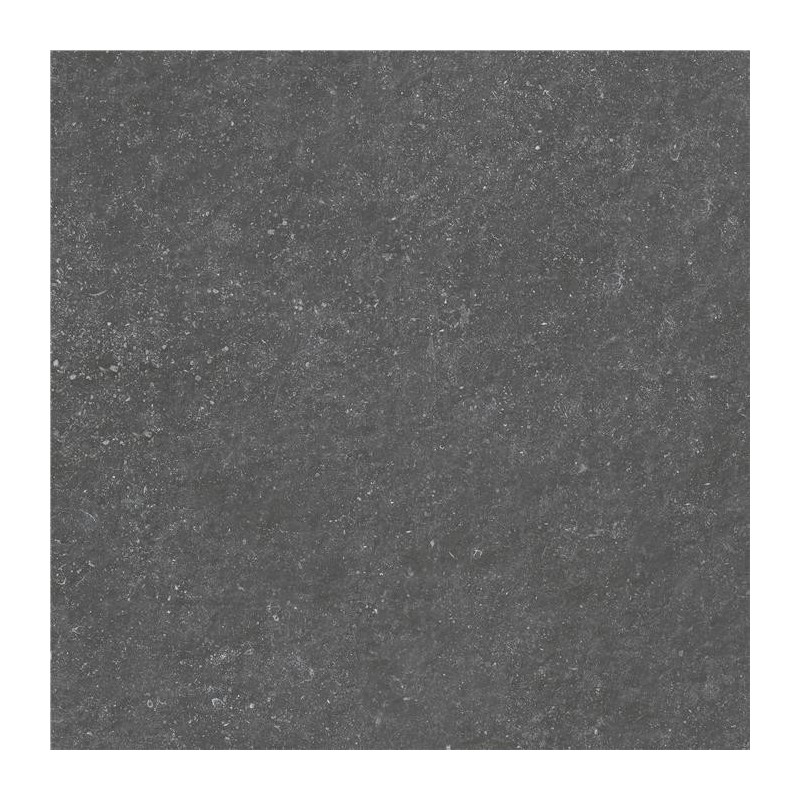 Carrelage Carriere mat 100x100 cm