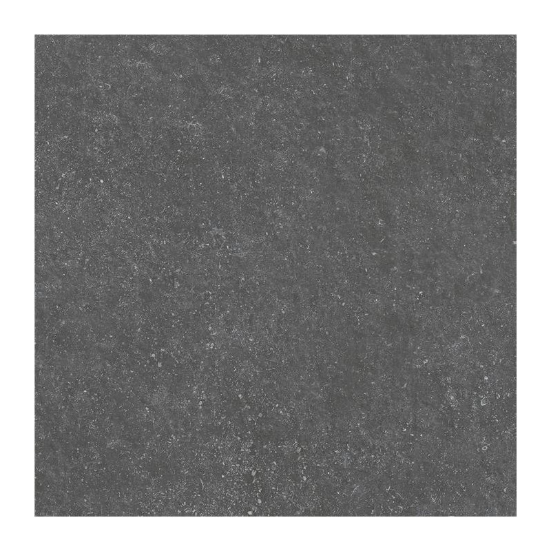 Carrelage Carriere mat 60x60 cm