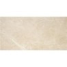 Carrelage Arrezo poli 60x120 cm