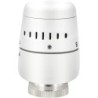 Belrad Tête thermostatique blanc M30
