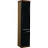 Meuble colonne 40x180x35 cm