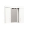 Miroir avec armoire 85x74x18 cm