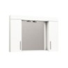 Miroir avec armoire 95x74x18 cm